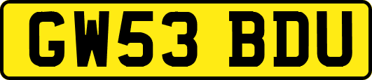 GW53BDU