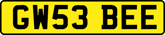 GW53BEE