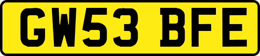 GW53BFE