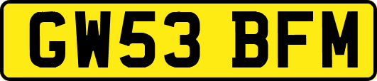 GW53BFM