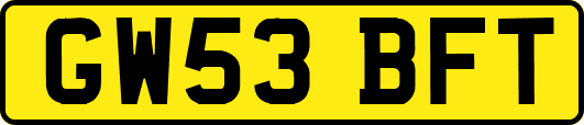 GW53BFT