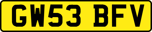 GW53BFV