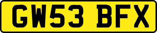 GW53BFX