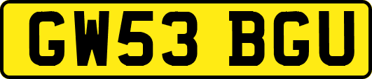 GW53BGU