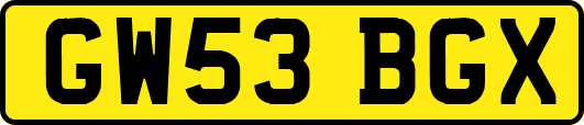 GW53BGX