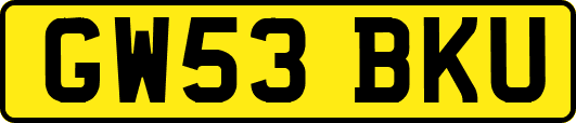 GW53BKU