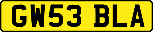 GW53BLA