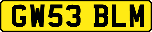 GW53BLM