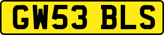 GW53BLS