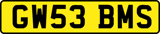 GW53BMS