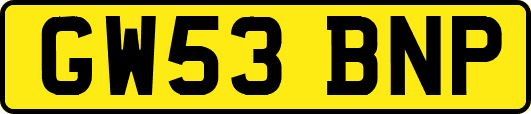 GW53BNP