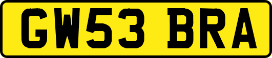 GW53BRA