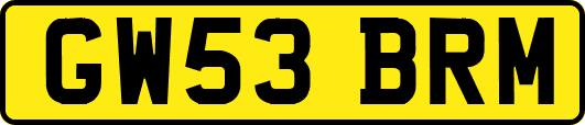 GW53BRM
