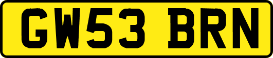 GW53BRN