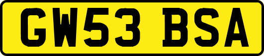 GW53BSA