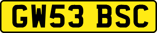 GW53BSC