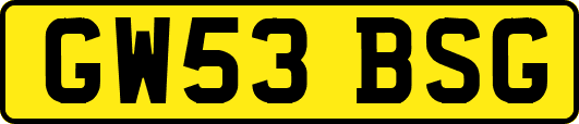 GW53BSG