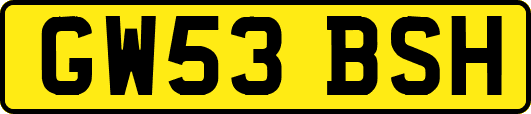 GW53BSH