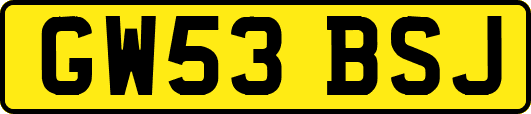 GW53BSJ