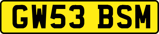 GW53BSM
