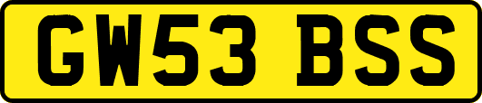 GW53BSS