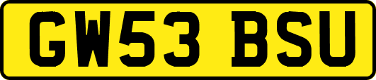 GW53BSU