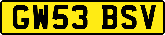 GW53BSV