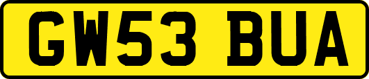 GW53BUA
