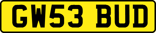 GW53BUD