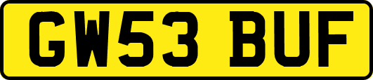 GW53BUF