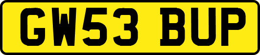 GW53BUP