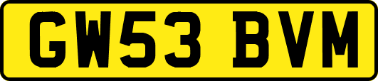 GW53BVM