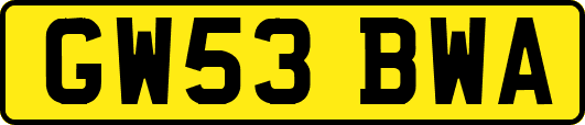 GW53BWA