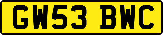 GW53BWC