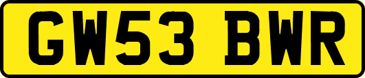 GW53BWR