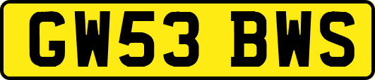 GW53BWS