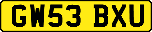GW53BXU