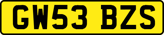 GW53BZS
