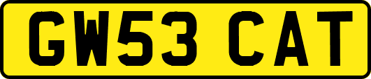 GW53CAT