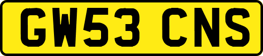 GW53CNS
