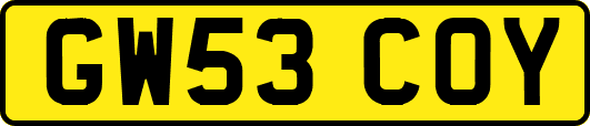 GW53COY