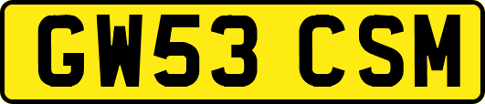 GW53CSM