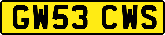 GW53CWS