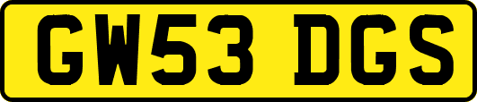 GW53DGS