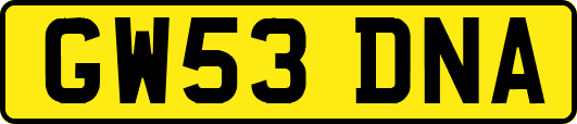 GW53DNA