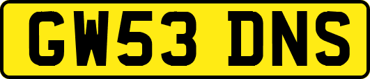 GW53DNS