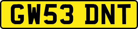 GW53DNT
