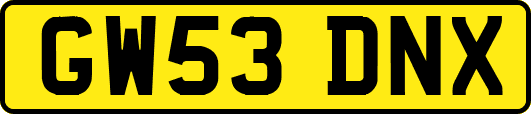 GW53DNX