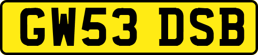 GW53DSB