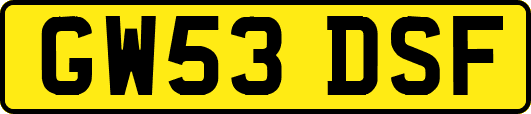 GW53DSF